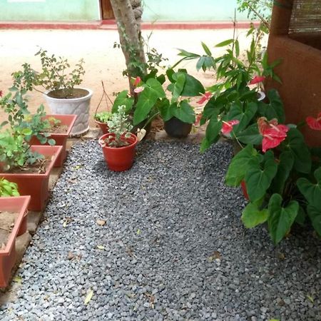 Pawansa Home Stay Habarana Esterno foto