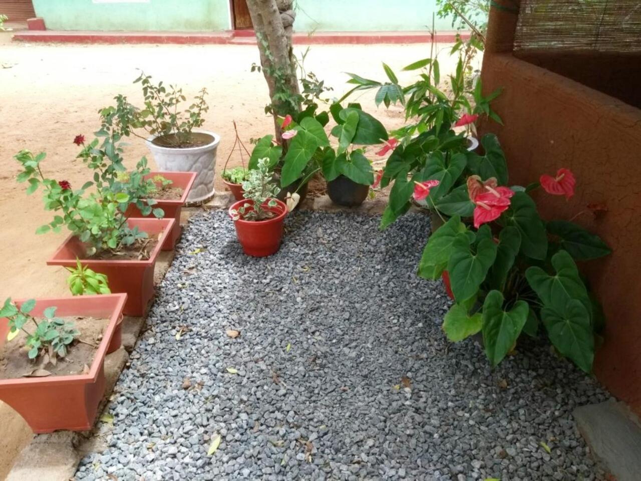 Pawansa Home Stay Habarana Esterno foto