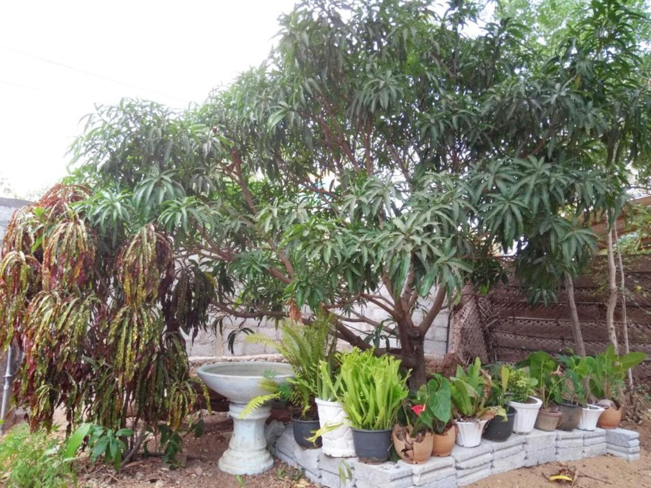 Pawansa Home Stay Habarana Esterno foto